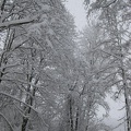 Schneeschuhwandern_Hindelang 038.jpg