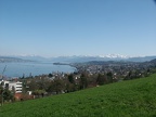 Zürichsee mit Bergen