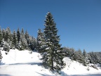 Schneeschuhtour Nordschwarzwald