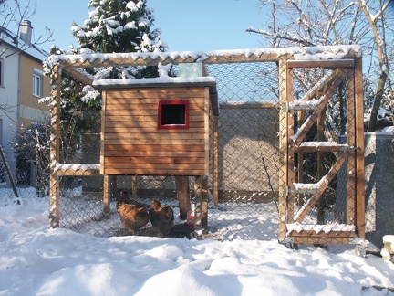 Hühnerstall im Schnee